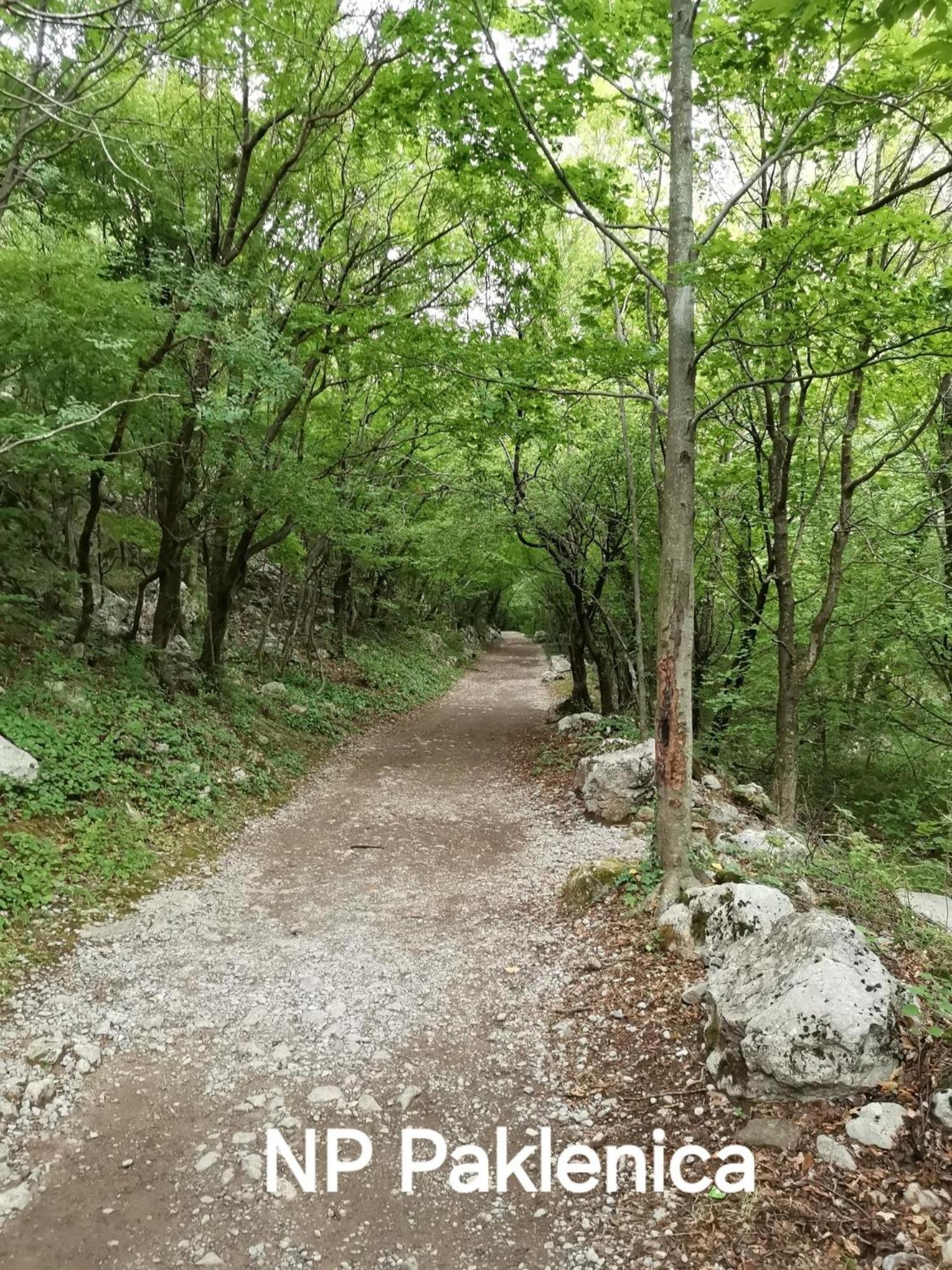 Apartment Mark Apartman Maslenica